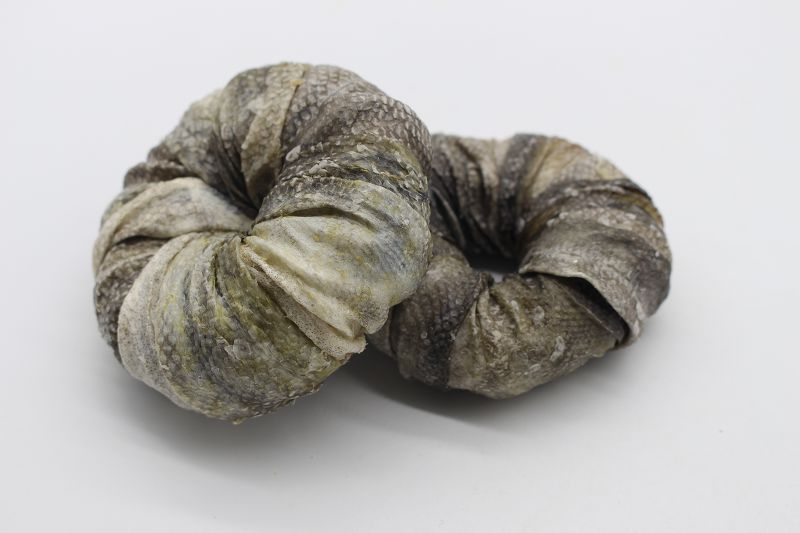 魚(yú)皮繞發(fā)泡圈